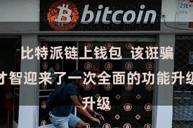 比特派链上钱包 该诳骗才智迎来了一次全面的功能升级