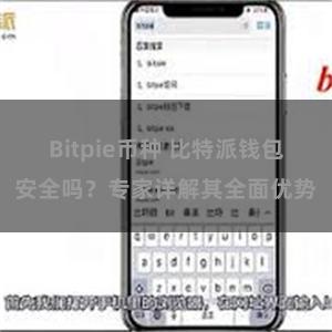 Bitpie币种 比特派钱包安全吗？专家详解其全面优势