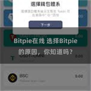 Bitpie在线 选择Bitpie的原因，你知道吗？