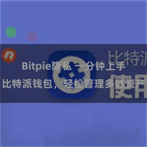 Bitpie隐私 一分钟上手比特派钱包，轻松管理多链资产