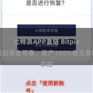 比特派APP直链 Bitpie钱包安全可靠，资产100%自主掌控