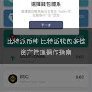 比特派币种 比特派钱包多链资产管理操作指南
