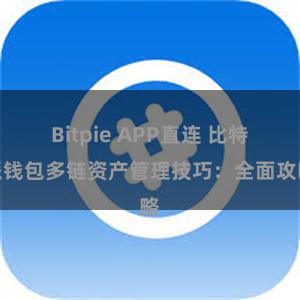 Bitpie APP直连 比特派钱包多链资产管理技巧：全面攻略