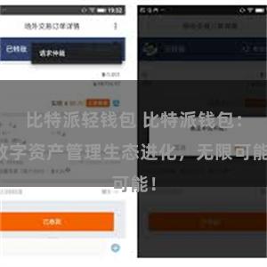 比特派轻钱包 比特派钱包：数字资产管理生态进化，无限可能！