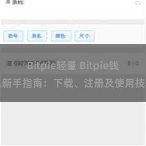 Bitpie轻量 Bitpie钱包新手指南：下载、注册及使用技巧