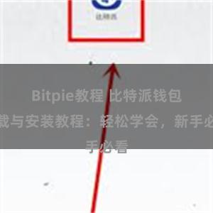 Bitpie教程 比特派钱包下载与安装教程：轻松学会，新手必看