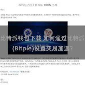比特派钱包下载 如何通过比特派(Bitpie)设置交易加速？