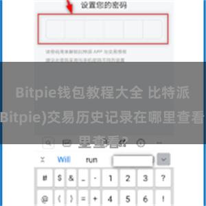 Bitpie钱包教程大全 比特派(Bitpie)交易历史记录在哪里查看？