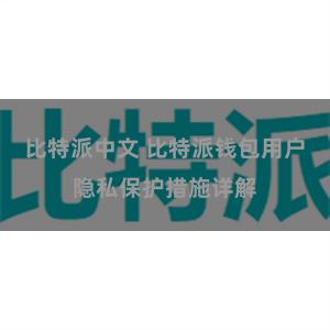 比特派中文 比特派钱包用户隐私保护措施详解