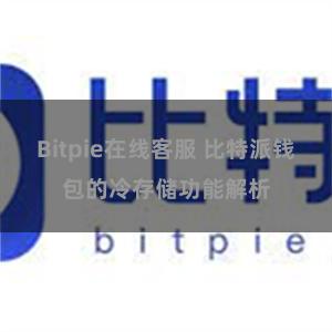 Bitpie在线客服 比特派钱包的冷存储功能解析