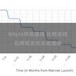 Bitpie转账教程 比特派钱包跨境支付功能揭秘