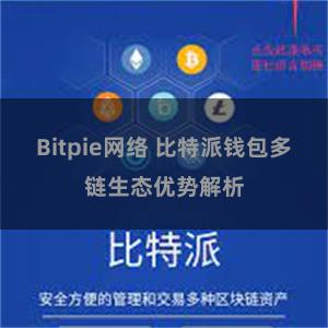 Bitpie网络 比特派钱包多链生态优势解析