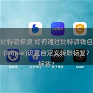 比特派恢复 如何通过比特派钱包(Bitpie)设置自定义转账标签？