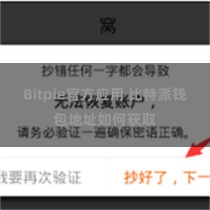 Bitpie官方应用 比特派钱包地址如何获取