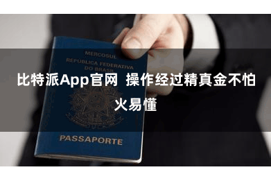 比特派App官网  操作经过精真金不怕火易懂