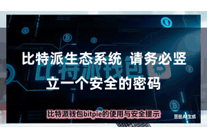 比特派生态系统  请务必竖立一个安全的密码