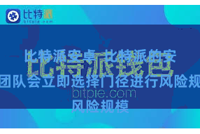 比特派安卓  比特派的安全团队会立即选择门径进行风险规模