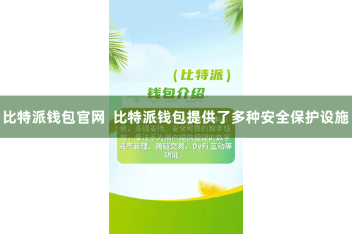 比特派钱包官网  比特派钱包提供了多种安全保护设施