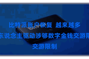 比特派账户恢复  越来越多的东说念主驱动涉够数字金钱交游限制