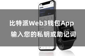 比特派Web3钱包App  输入您的私钥或助记词