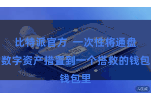 比特派官方  一次性将通盘的数字资产措置到一个搭救的钱包里