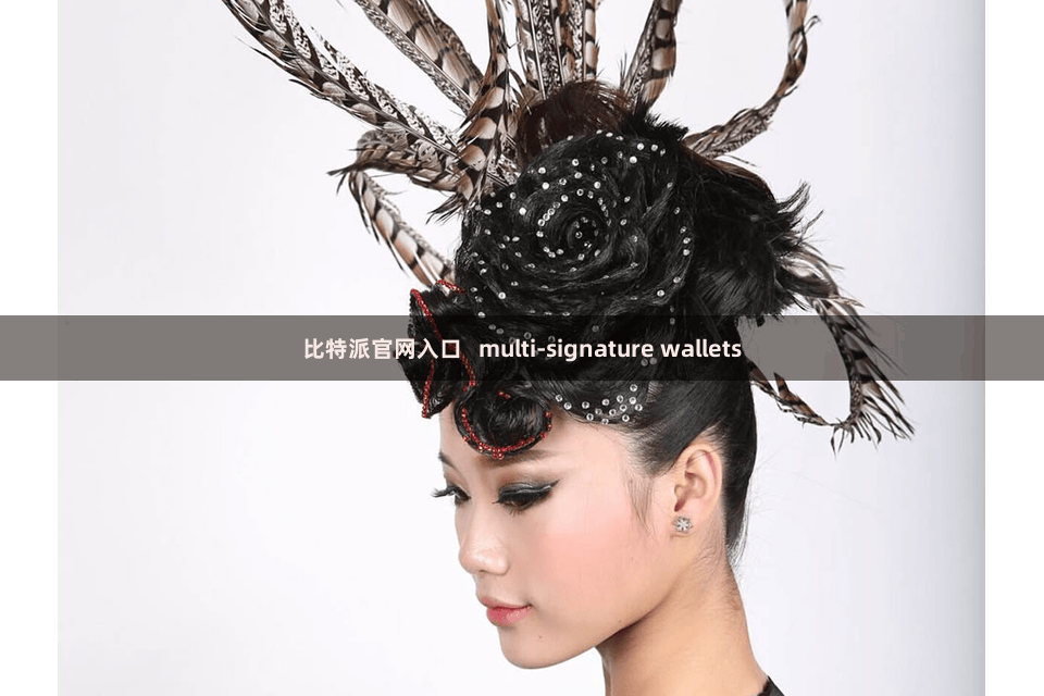 比特派官网入口   multi-signature wallets
